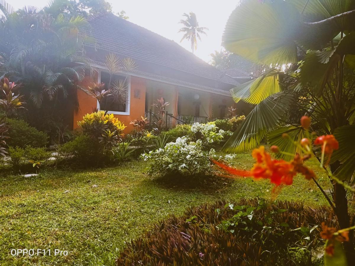 Country Side Inn Portuguese Guest House Cuelim 外观 照片